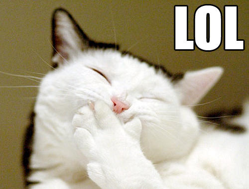 lol_cat-12926